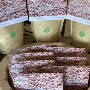 Pinto Beans
