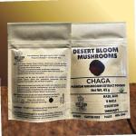 Chaga-Premium Mushroom Extract Powder