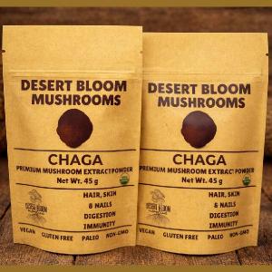 Chaga-Premium Mushroom Extract Powder