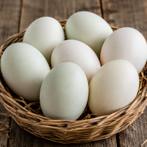 Duck Eggs