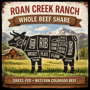 Grass fed and finished beef whole beef