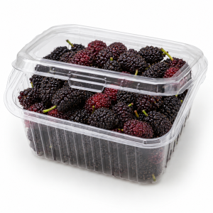 Local Mulberries