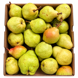 Bartlett Pears