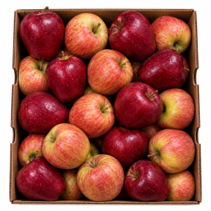 Red Delicious Apples/Fuji Apples