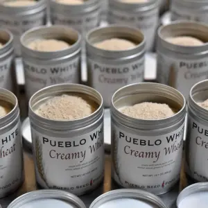 Cream of Wheat