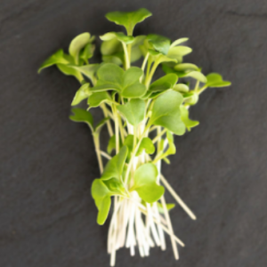 Mustard - Spicy Oriental (2 oz.)