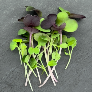 Spicy Salad Mix micros (2 oz.)