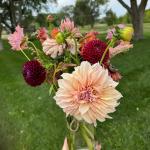 Locally grown flower bouquet