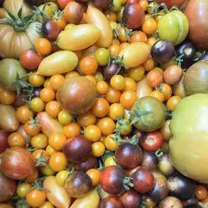cherry tomatoes