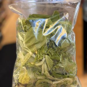 Gourmet and Butter Lettuce blend