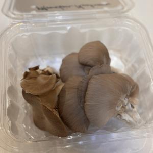 Gourmet Mushrooms Blend
