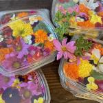 Local Edible Flowers