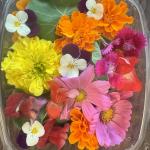 Local Edible Flowers