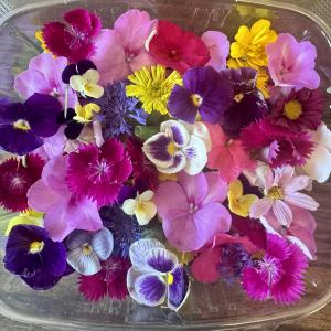 Local Edible Flowers