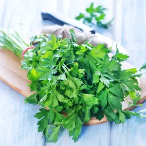 Parsley