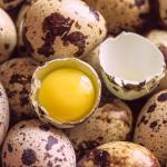 Quail Eggs