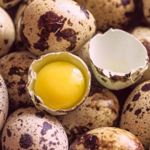 Quail Eggs
