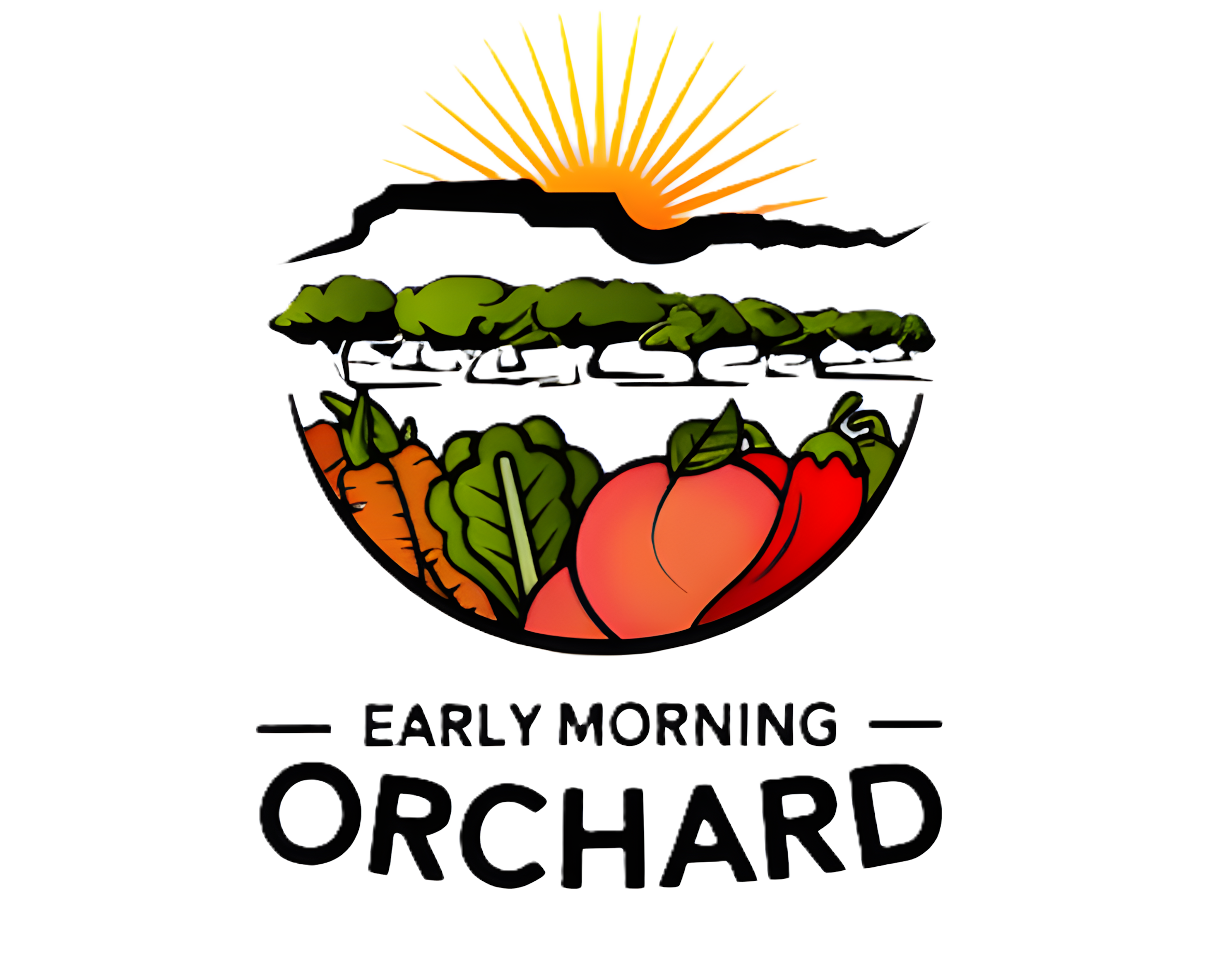 Early Morning Orchard