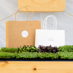 Spice It Up! Bundle (three products)