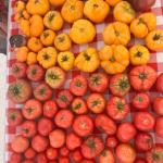 Heirloom Tomatoes