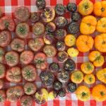 Heirloom Tomatoes