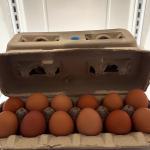 Chicken Eggs 1 Dozen