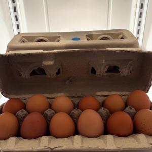 Chicken Eggs 1 Dozen