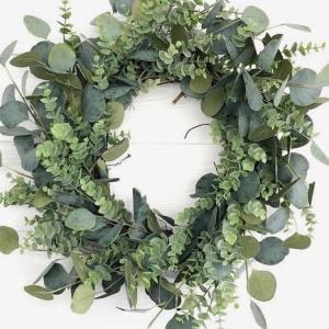 Fresh Eucalyptus Wreath