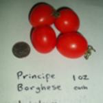 Heirloom Tomato Seed Bundle