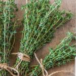 Heirloom Herb Garden Seed Bundle