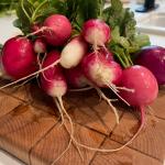 Heirloom Salad Bar Seed Bundle