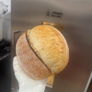Classic Artisan Sourdough Loaf