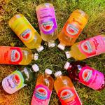 Palisade Kombucha Pali Peach 16oz