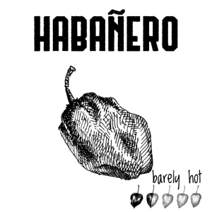 Roth's Pretzels - Habenero 4oz