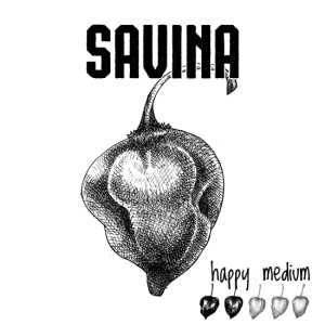 Roth's Pretzels - Savina 4oz