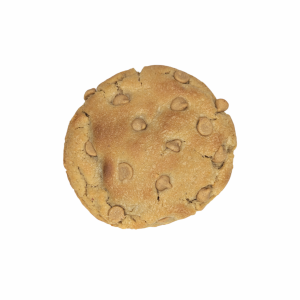 Peanut Butter Cookie