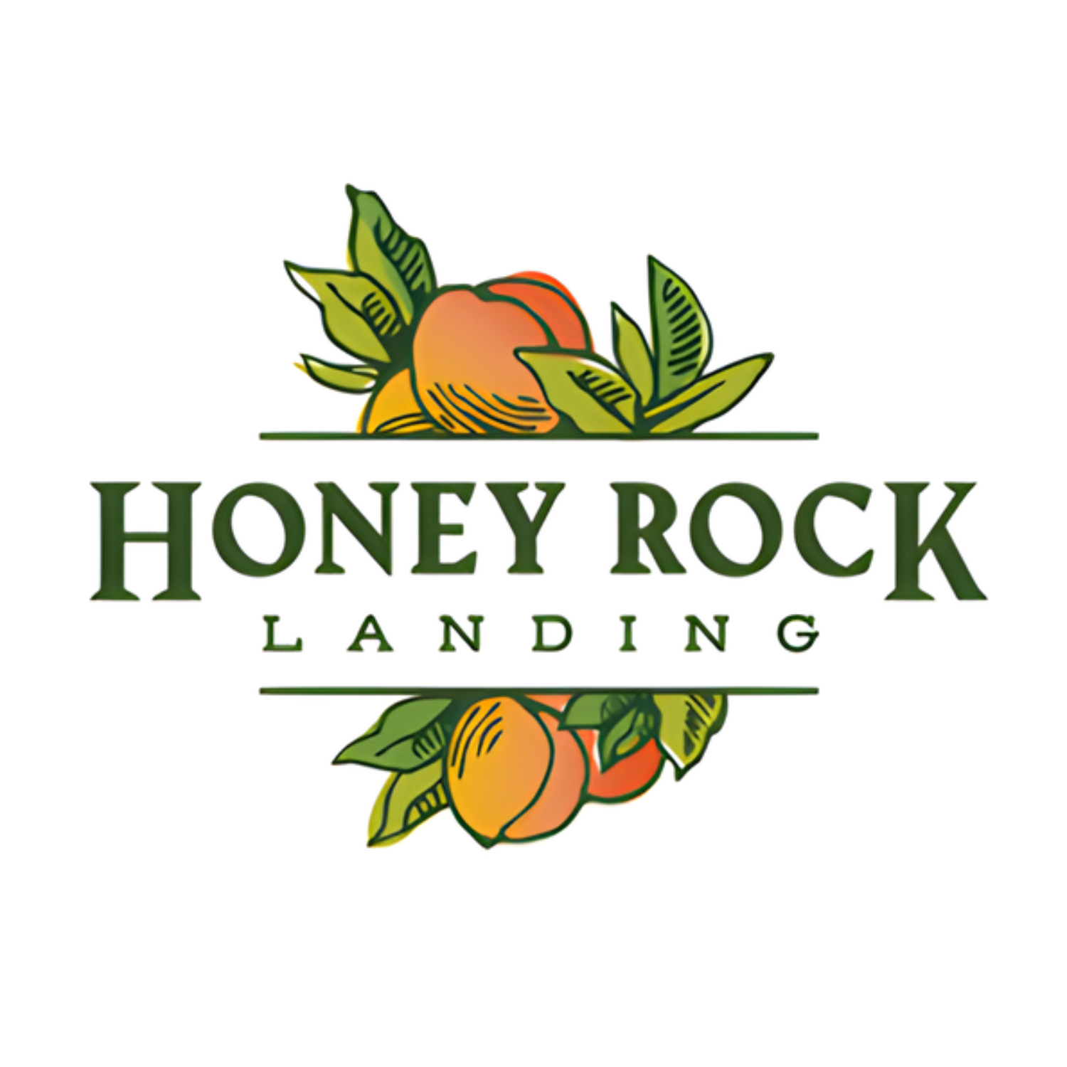 Palisade Kombucha logo