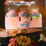 Kombucha 16 oz 3 Bottles