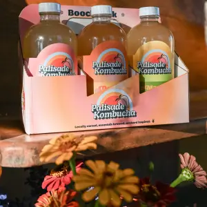 Kombucha 16 oz 3 Bottles